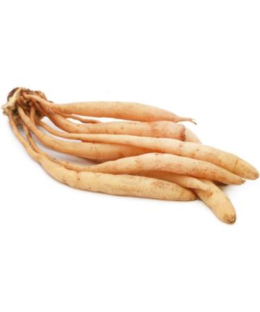 Dry Shatavari Root - Pack 2x50g - Asparagus Racemosus | Thaneervittan Kilangu - Buy Online on GoSupps.com