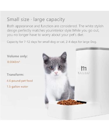 Self-Dispensing Cat Dog Feeder and Waterer for Convenient Pet Care - Buy Online on GoSupps.com