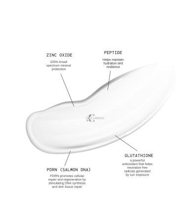 CURENEX Daily Sheer Sunscreen SPF50+ PA++++ provides comprehensive protection against UVA+UVB rays while revitalizing skin with PDRN and multi-peptide complex. (1.69 fl.oz.) - Buy Online on GoSupps.com