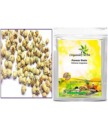 Green Velly Indian Organic Herbs Ayurveda Paneer Phool | Paneer Doda/DODI | Withania Coagulans Good for Health (1Kg)