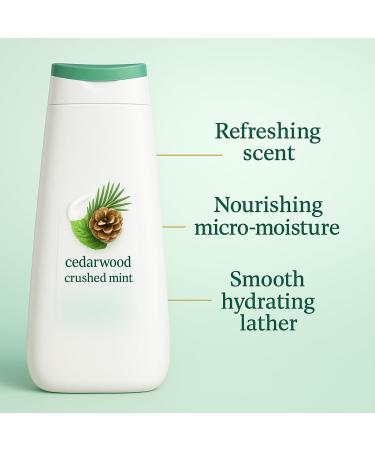 Body Wash with Warm Fresh Aroma for Everyday Shower Use Smooth Liquid Texture and Balanced Scent Profile for Regular Grooming Comfortable Daily Wash Formula 20 oz Bottle - Buy Online on GoSupps.com