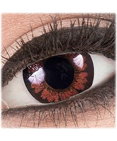 Meralens Brown Circle Lenses Pretty Hazel - 14mm Big Eyes Colored Contacts with Case (Non-Prescription) - Buy Online on GoSupps.com
