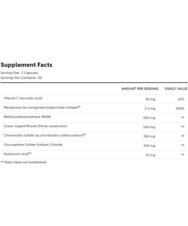 RetzlerRx Joint Support DJD - Advanced Joint Health Supplement - MSM Green-Lipped Mussel Chondroitin & Glucosamine Sulfate - Supports Joint Flexibility Comfort & Tissue Health - Buy Online on GoSupps.com