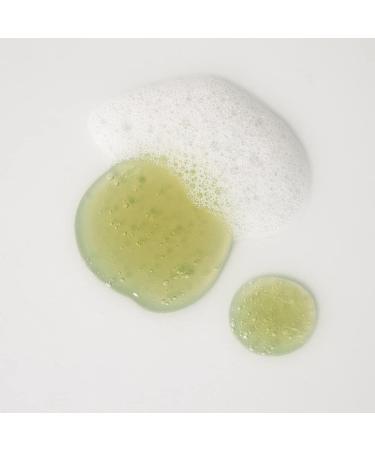 KAINE Rosemary Relief Gel Cleanser (150ml 5.07fl oz) Deep Cleansing Exfoliation Acne Treatment Soothing - Buy Online on GoSupps.com
