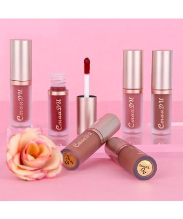Evpct 6Pcs Silky Velvet Matte Liquid Lipstick Set for Women - Long Lasting 24 Hours Color Stay Lip Gloss in Brown, Nude, Pink, Mauve, Red & Maroon - Buy Online on GoSupps.com