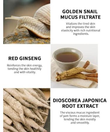 SKIN79 Golden Snail Intensive Toner - Concentrated Moisture Booster | Korean Skin Care | International Shipping - Buy Online on GoSupps.com