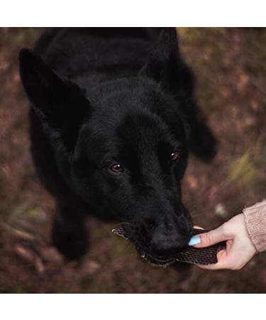 Troop Pet Products Beef Liver Fully Natural Single Ingredient Canadian Dehydrated Training Treat (125g) 125 g (Pack of 1) - Buy Online on GoSupps.com