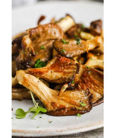 Pink Oyster | Live Liquid Mushroom Culture Syringe | Premium Genetics | Commercial Grade | Gourmet Mushroom | Contamination Free | Grow at Home | LABSIDE Industries - Buy Online on GoSupps.com