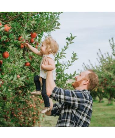 Flintstones Kids Elderberry Gummies | Immunity Support with Vitamin C & Zinc | Gluten-Free Dietary Supplement | 60 Count - Buy Online on GoSupps.com