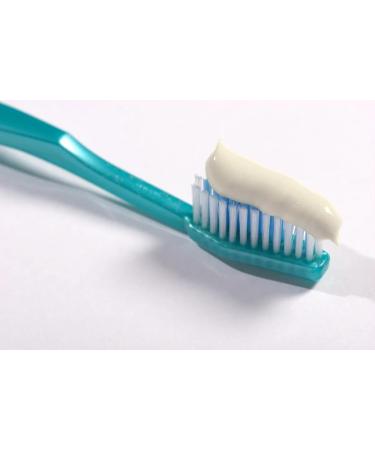 Effervess - Rx Refresh Natural Aloe Vera Toothpaste is a Mint-Flavored Oral Care Product with airless Pump Technology Perfect for Dry Mouth Relief. Developed by a Dentist. - Buy Online on GoSupps.com