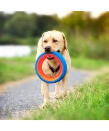 Chuckit! CH252101 Fetch Wheel Small - Durable Dog Toy for Fetching Fun | International Shipping Available - Buy Online on GoSupps.com