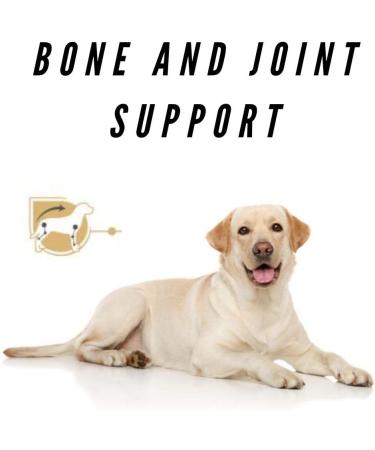 Adapted Breed Wet Labrador Retriever 10 x 140g Wet Dog Food Texture Savor For Maximum Flavor Complete Selected Nutrients For Healthy Skin Shiny Coat Strong Immunity Ideal Body Weight - Buy Online on GoSupps.com