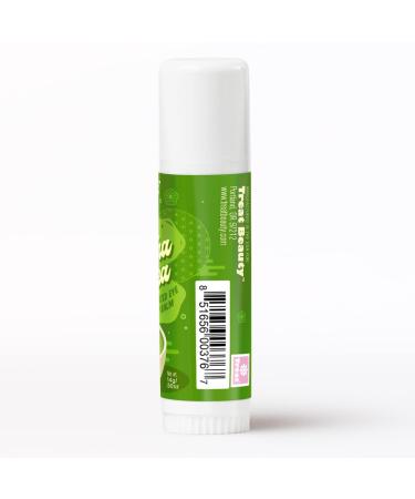 TREAT Jumbo Organic & Cruelty-Free .50oz Mint & Matcha Tea - Caffeinated - Buy Online on GoSupps.com