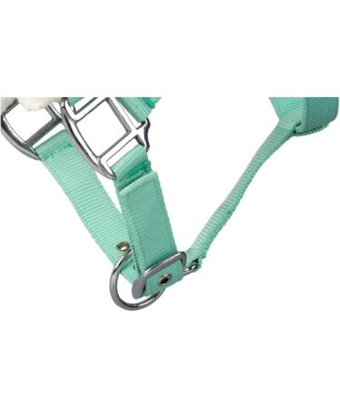 Halter with Plush Padding - RL24 BASICLINE in Light Green for Shetland Pony Thoroughbred & Warmblood | International Shipping - Buy Online on GoSupps.com