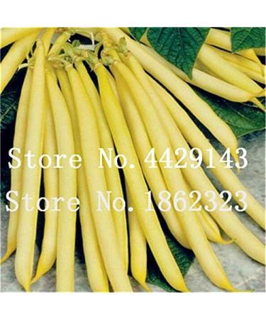 Fresco dei 50 pc Bean semi di Verdure per piantare grren leggeri - Buy Online on GoSupps.com