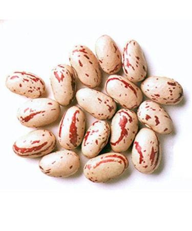 Rosecoco Beans (crab eye beans) - 1kg - Buy Online on GoSupps.com