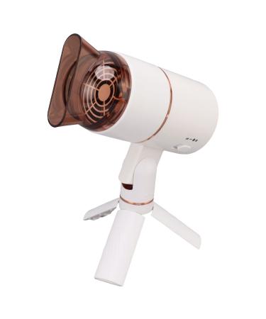 Hair Blow Dryer Fast Drying Hair Care Hair Dryer Negative Ions High Power Blow Dryer Professional Hair Dryer for Home & Salon Styling Tool