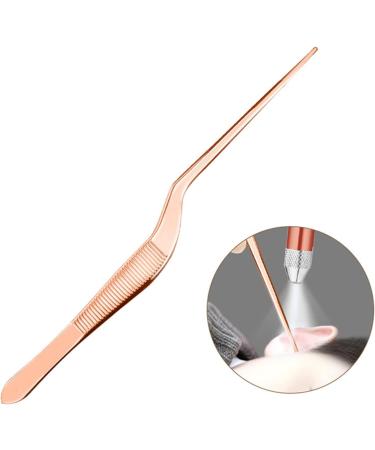 2 Sets LED Ear Wax Pickers Stainless Steel Earpick Wax Remover Curette Ear Pick Cleaner Ear Cleaner Spoon Care Ear Clean Tool - Buy Online on GoSupps.com