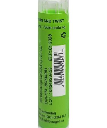 Argentum Nitricum 6CH Homeopathy Medicine Schmidt-Nagel Canada (Homeodel) 90 pellets/granules - Buy Online on GoSupps.com