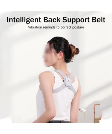 MDLIAN Back Shoulder Brace Posture Corrector Belt - Adjustable Spine Support for Men & Women | Improve Posture & Comfort - Gray - Buy Online on GoSupps.com