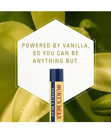 Burt's Bees Moisturizing Lip Balm Vanilla Bean 0.15 Ounce Vanilla Bean 0.15 Ounce (Pack of 1) - Buy Online on GoSupps.com