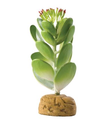 Exo Terra Jade Cactus Terrarium Plant Jade Cactus One Size