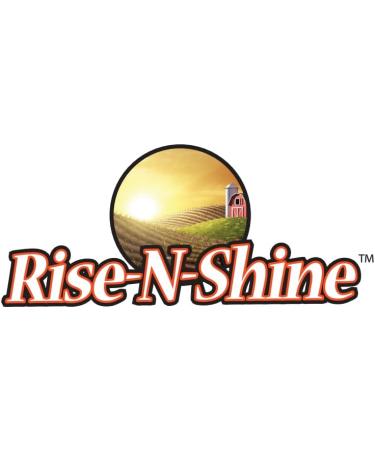 Rise-N-Shine Mushroom Complex Supplement for Clarity & Focus - Immune Support w/Lion s Mane Reishi Mushroom Chaga Maitake & Shiitake Mushroom - 30 Day Supply - 30 Capsules - Buy Online on GoSupps.com
