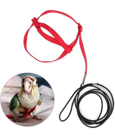 Buy Portable 8-Shape Bird Dishes for Small to Medium Parrots | Adjustable Parrot Flight Dishes | Perfect for Lovebirds & Nymphensittich - International Shipping Available - Buy Online on GoSupps.com