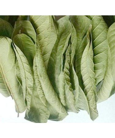 Dry Mango Leaves 250g (Pack of 02)