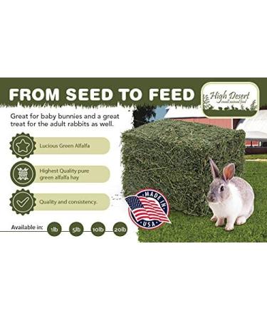 Dried Natural Alfalfa Hay for Rabbits, Guinea Pigs, Chinchillas & Ferrets - Protein and Fiber-Rich Food - 5 lb Pack - Healthy Pet Food - Buy Online on GoSupps.com