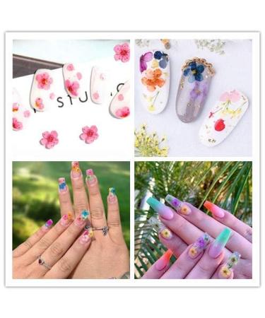 Dried Flowers for Nail Art - Mini Real Natural Five Petal Flower Sticker Decals - Buy Online on GoSupps.com
