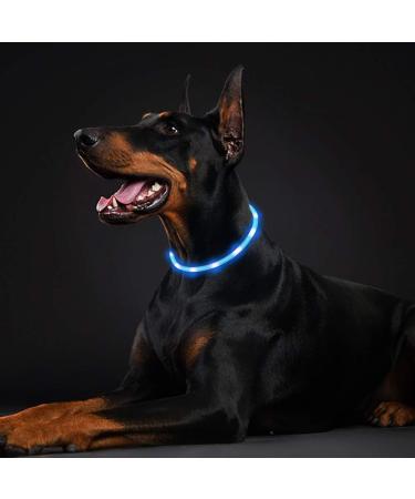 Laroo LED Luminous Dog Band - Adjustable Waterproof USB Collar for Small Medium & Large Dogs and Cats | 3 Modes - Sky Blue - Perfect for Night Safety - Buy Online on GoSupps.com