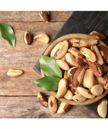 Roasted Salted Brazil Nuts - 32 oz (2 Pounds) | Healthy Snack for Vegan, Keto & Paleo Diets | Kosher & 100% Natural | Ideal for Baking & Cooking - Buy Online on GoSupps.com
