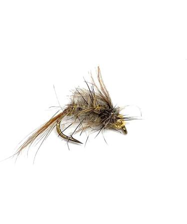 School of Fly Fishing Hares Ear Nymph Fly Assortment - 12 PC Set - Buy Online on GoSupps.com