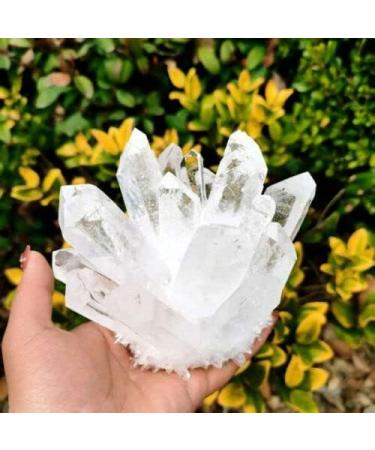 Natural Crystal Rough 1pc White Transparent Quartz Specimen Beautiful (Size : 800g) - Buy Online on GoSupps.com