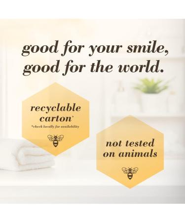 Burt's Bees Toothpaste Fluoride Free Charcoal Zen Peppermint 210 Milliliters Total (Pack of 2) Charcoal Toothpaste (Pack of 2) - Buy Online on GoSupps.com