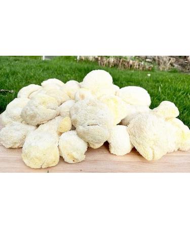 Lions Mane - Mushroom Powder - 100g - Buy Online on GoSupps.com