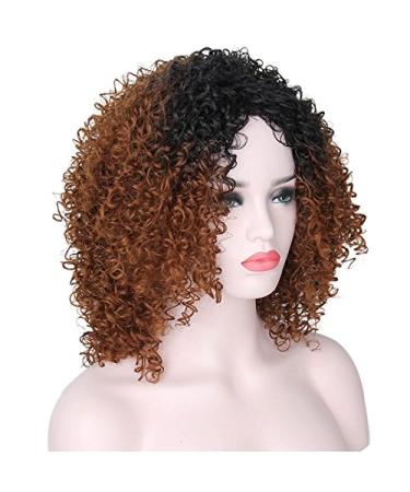 Curly Hair Wigs for Black Women | Natural Kinky Curly Afro Lace Front Wigs | Short Fluffy Wavy Human & Synthetic Options - Buy Online on GoSupps.com