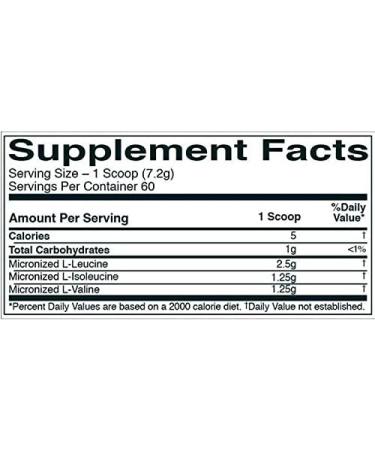 Buy BCAA 60 Servings Watermelon Splash - 432g | Best International Shipping for Fitness Supplements - Buy Online on GoSupps.com