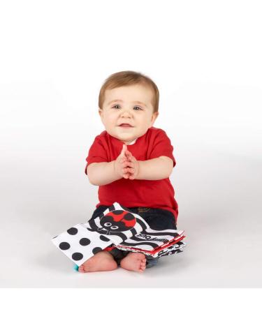 Sassy Inspire The Senses Peek-A-Boo Activity Book | 0+ Months | Engaging Developmental Toy - Buy Online on GoSupps.com