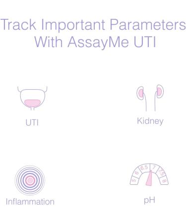 AssayMe UTI Urine Test Strips: Urinalysis Test for Infection - 3 Strips (LEU, NIT, pH) with Free App - Buy Online on GoSupps.com