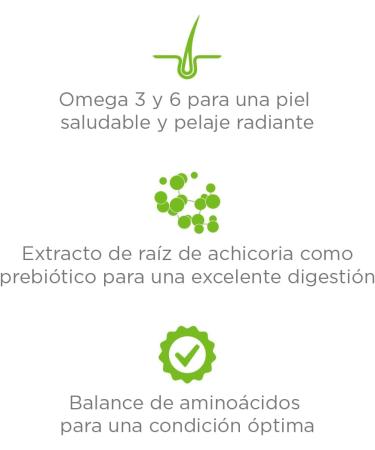 Comida para Perros Adultos Sabor Carne - 5 kg | Env o Internacional | Nutrici n de Calidad - Buy Online on GoSupps.com