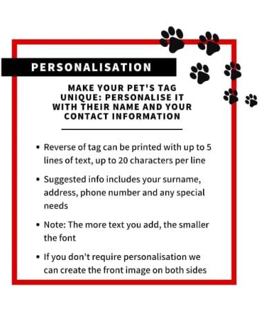 Indoor Cat ID Tag | Free Personalisation - Buy Online on GoSupps.com