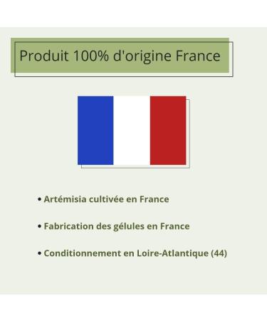 Artemisia Vulgaris - 150 Vegetable Capsules - 100% Pure Artemisia - Made in France Le Pr Vert - Buy Online on GoSupps.com