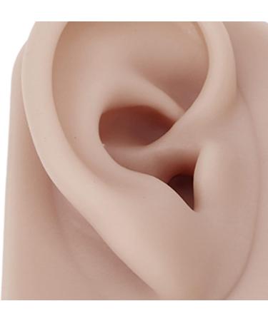 Silicone Ear Model Left and Right Soft Flexible Model Fake Ear Piercing Practice Human Ear Model Silicone Ear for Jewelry Display Acupuncture Teaching (#3) - Buy Online on GoSupps.com