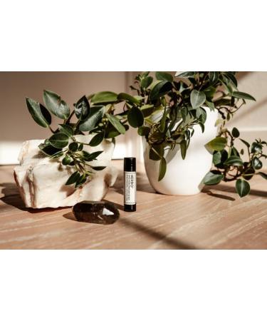 Herbo Shea Butter Lip Balm - Hydrating Natural Coconut Oil & Hemp-Infused Moisturizer for Dry Lips - Vegan & Silicone-Free Lip Care for Women & Men - Buy Online on GoSupps.com
