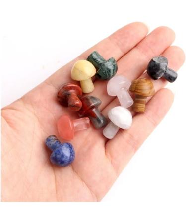 Crystal Rough Crystal Ornaments 1PC Mini Crystal Mushroom Natural Stones Carved Crafts Decoration Quartz Trinket Gift Ornament Aquarium Home Decor Gift (Color : Tiger Eye Size : 1pc) 1pc Tiger Eye - Buy Online on GoSupps.com