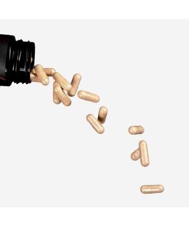 MindHoney Dose 60ct: Premium Nootropic Adaptogen Brain Supplement for Memory, Focus, Energy, and Mood with Lion's Mane, Cordyceps, Chaga, Reishi, Ashwagandha, L-Theanine, Vitamin B, and More - Buy Online on GoSupps.com