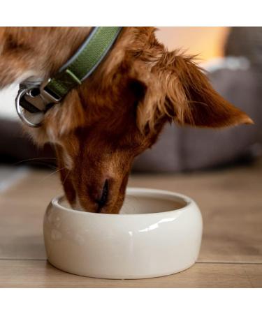 Nobby Ceramic Feeding Trough 1000ml - Durable Pet Bowl for Cats and Dogs - Buy Online on GoSupps.com