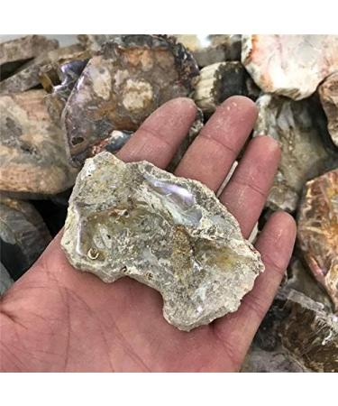 1pc raw Natural Silicified Wood Quartz s Rough Crystal Grain Stone Crafts for Decorative Gift Natural Stones and Minerals - Buy Online on GoSupps.com
